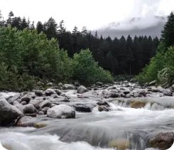 Nature Manali